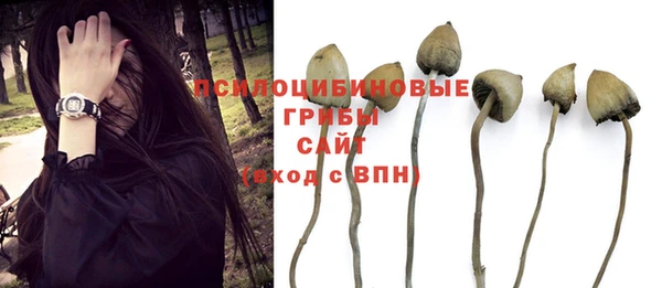 дурь Беломорск