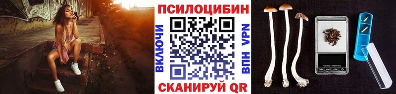 Купить  Наро-Фоминск  Галлюциногенные грибы Cubensis 